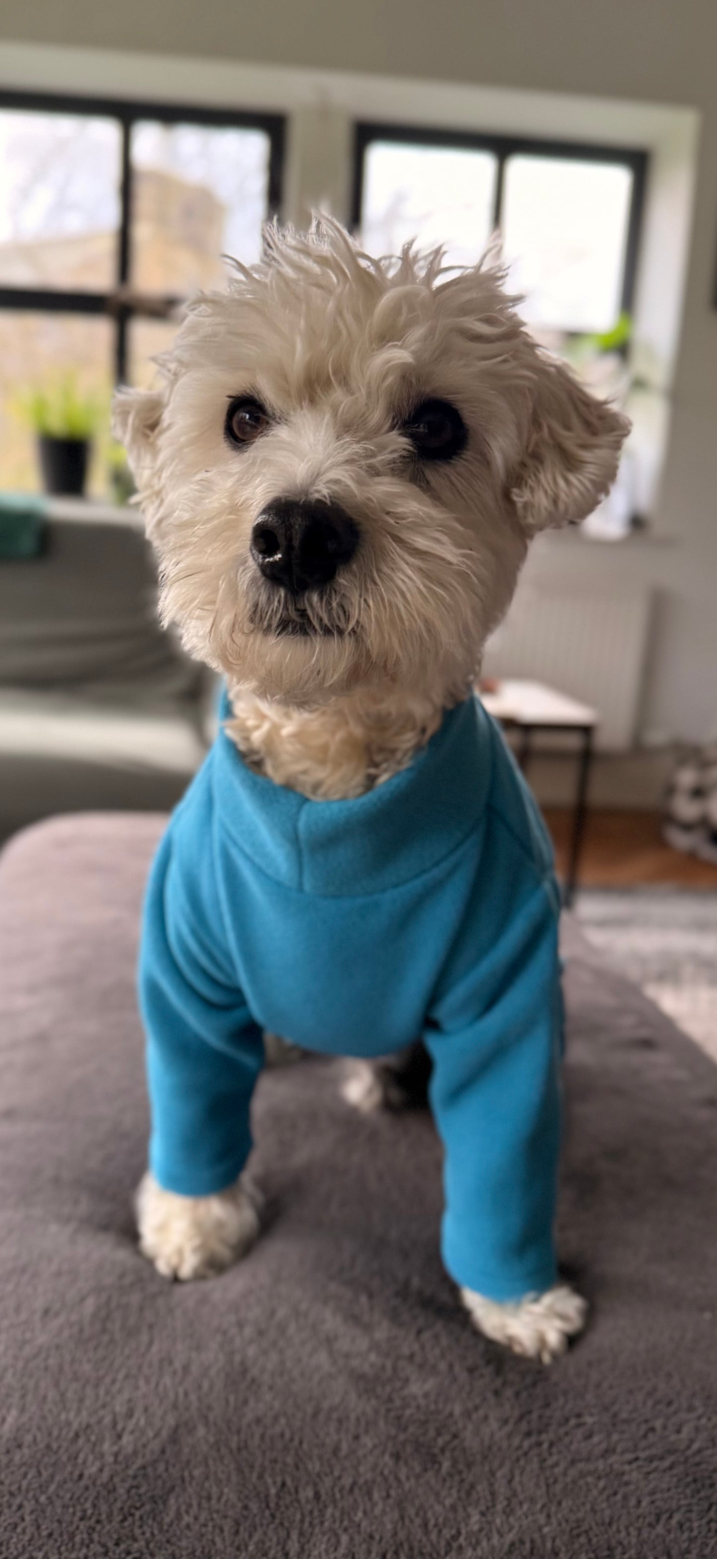 Four-Leg Dog Fleece — Mud-Resistant Stretch Fit