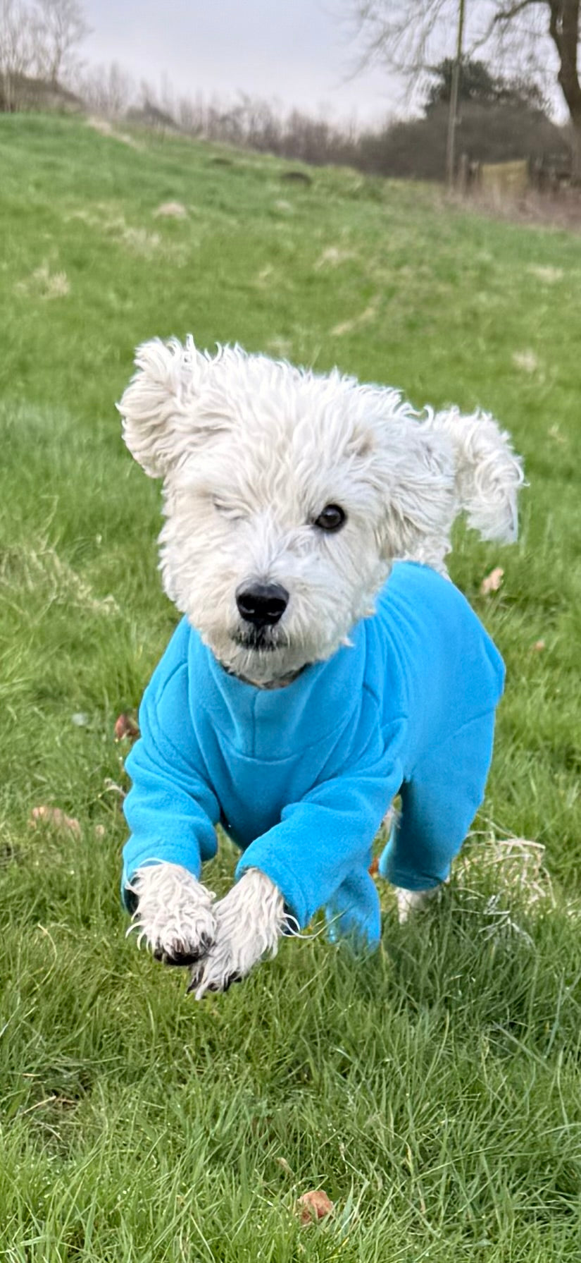 Four-Leg Dog Fleece — Mud-Resistant Stretch Fit