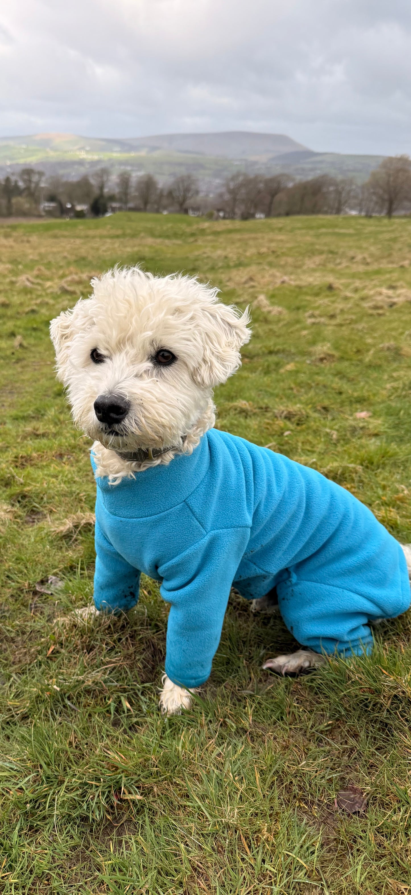 Four-Leg Dog Fleece — Mud-Resistant Stretch Fit