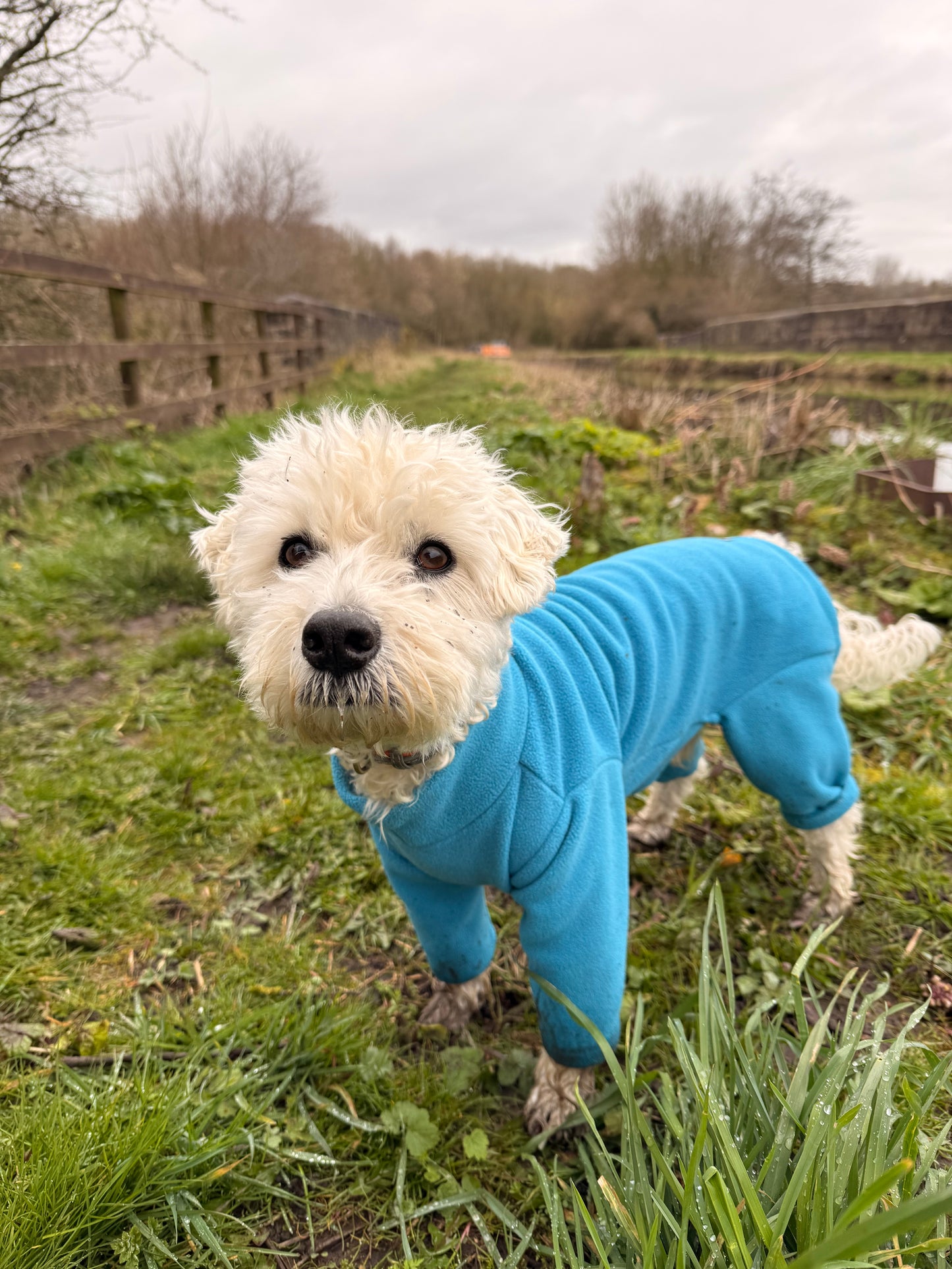 Four-Leg Dog Fleece — Mud-Resistant Stretch Fit