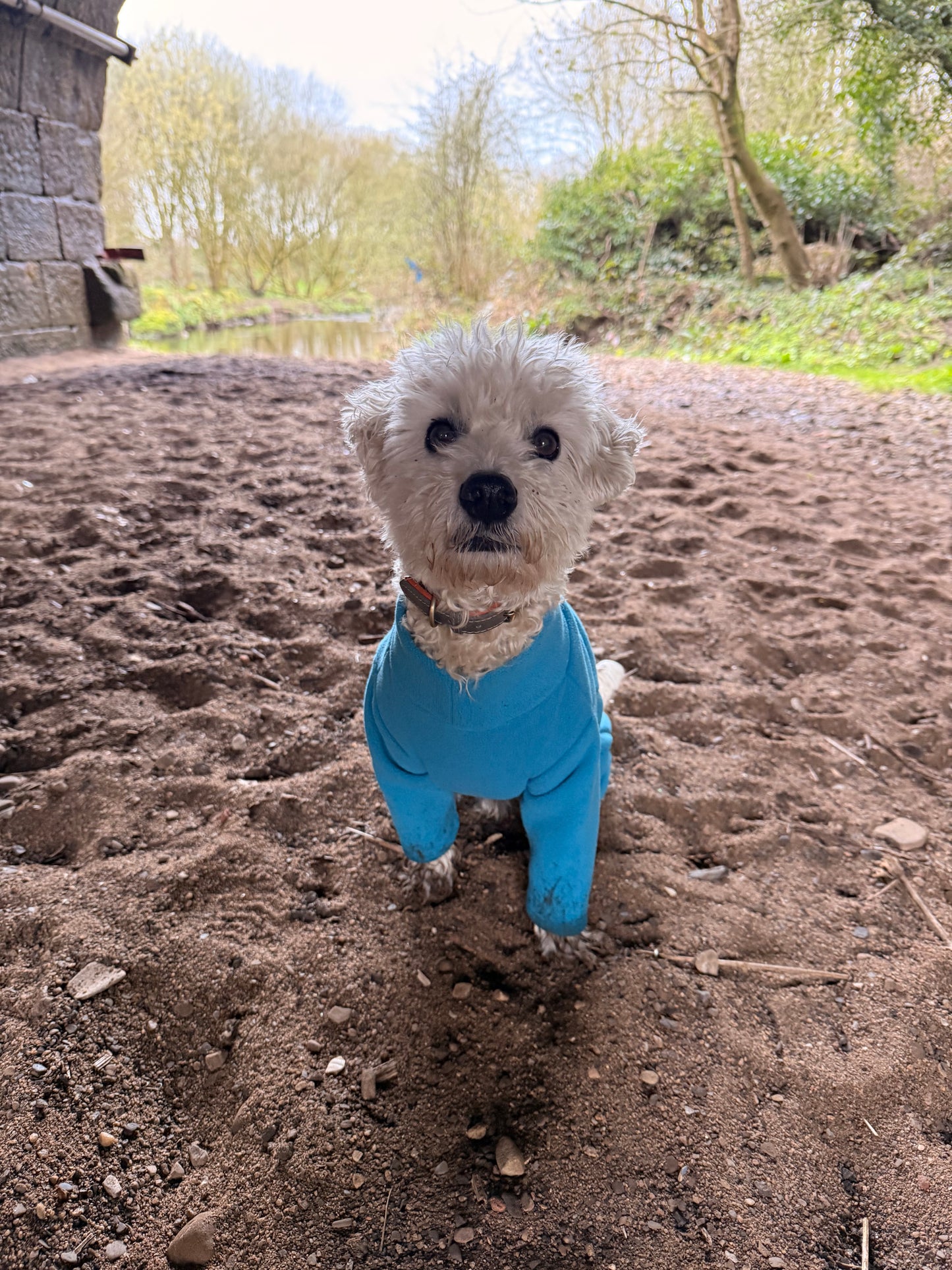 Four-Leg Dog Fleece — Mud-Resistant Stretch Fit