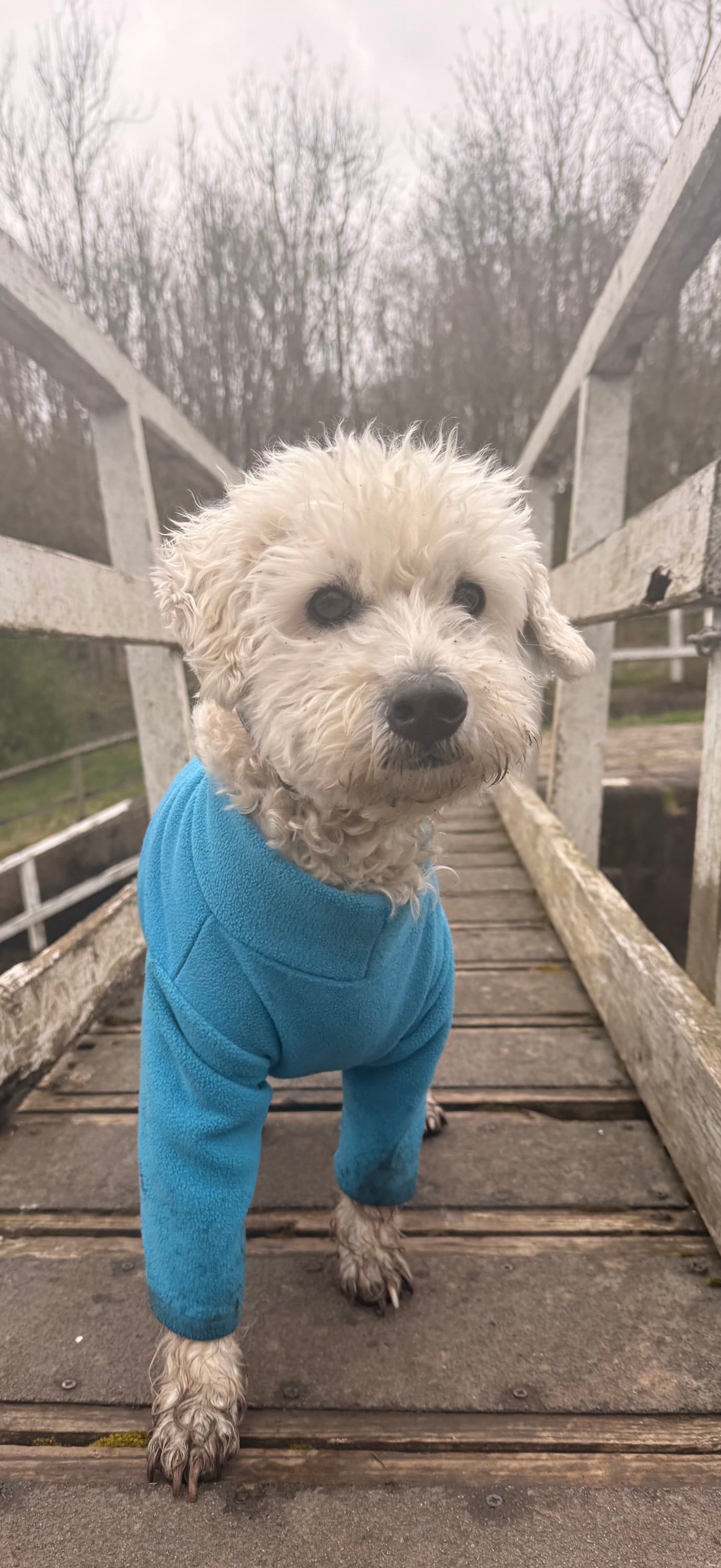 Four-Leg Dog Fleece — Mud-Resistant Stretch Fit