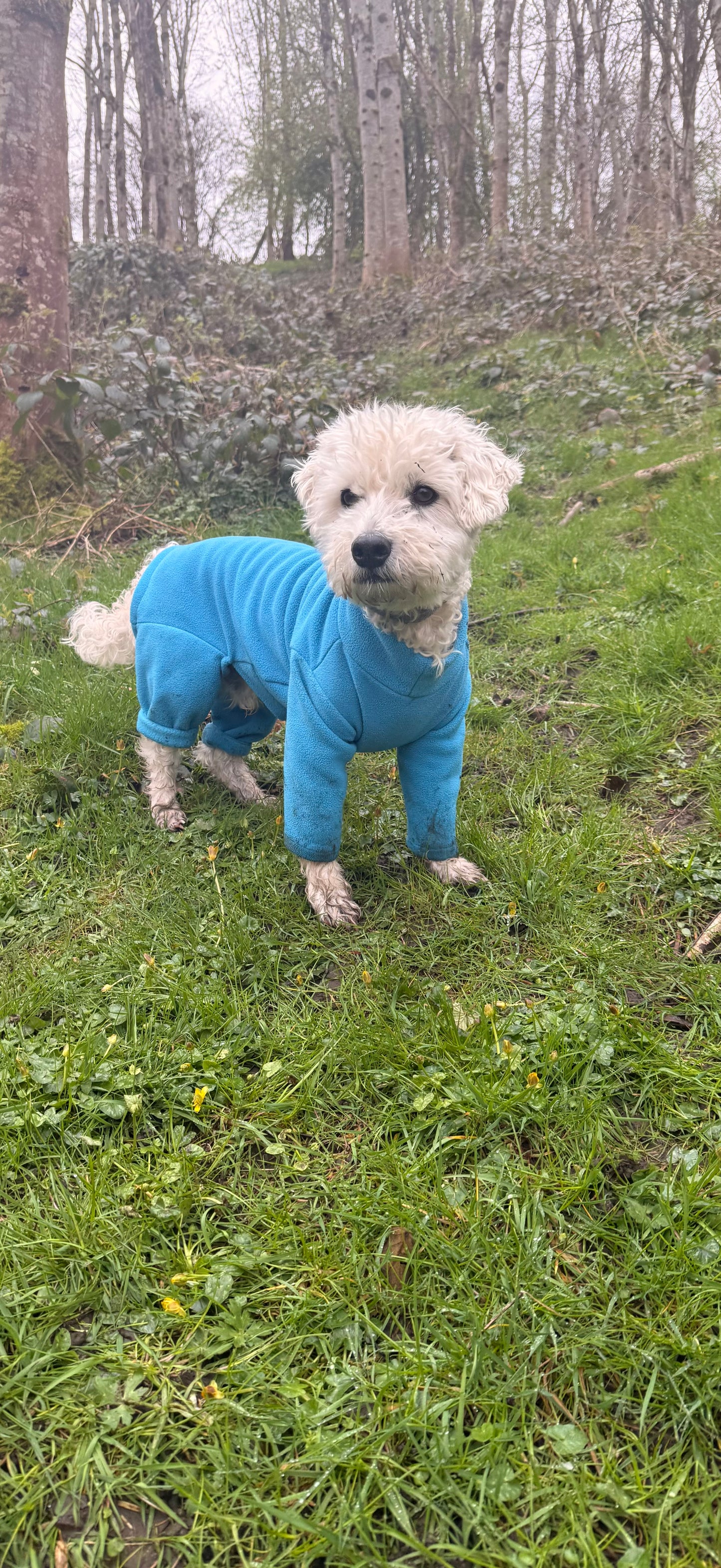 Four-Leg Dog Fleece — Mud-Resistant Stretch Fit